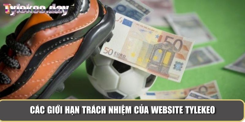 Các giới hạn trách nhiệm của website Tylekeo