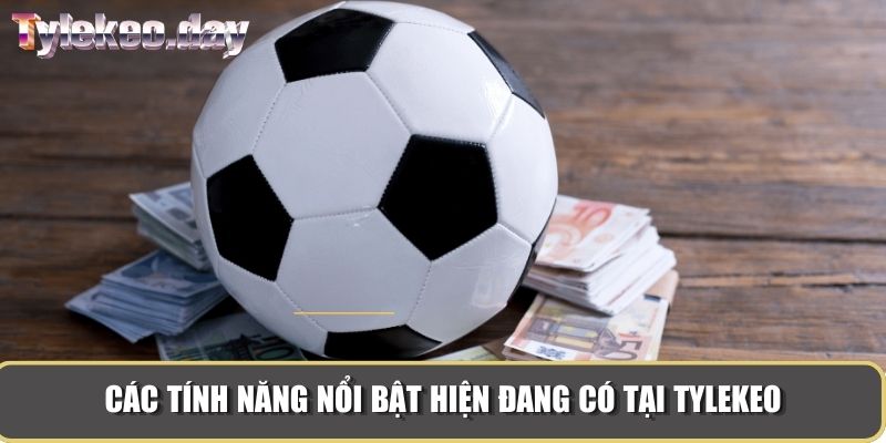 Các tính năng nổi bật hiện đang có tại Tylekeo