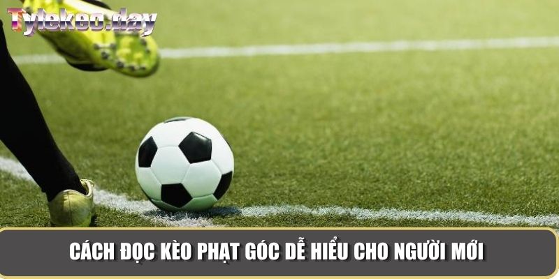 Cách đọc kèo phạt góc dễ hiểu cho người mới