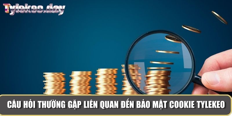 Câu hỏi thường gặp liên quan đến bảo mật cookie Tylekeo