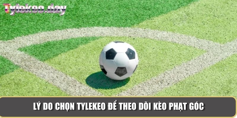 Lý do chọn Tylekeo để theo dõi kèo phạt góc