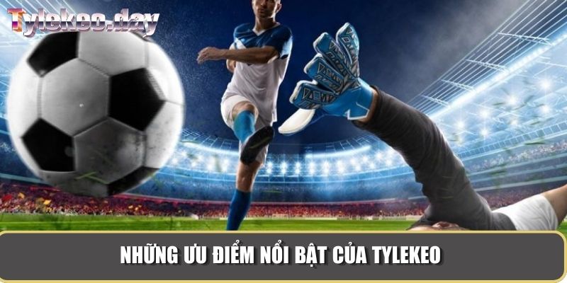 Những ưu điểm nổi bật của Tylekeo