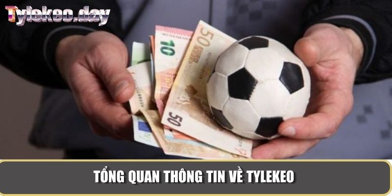 Giới thiệu tylekeo tổng quan thông tin