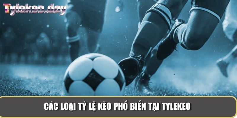 Các loại tỷ lệ kèo phổ biến tại Tylekeo