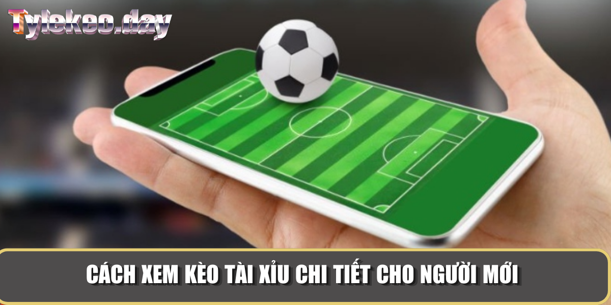 Cách xem kèo tài xỉu chi tiết cho người mới