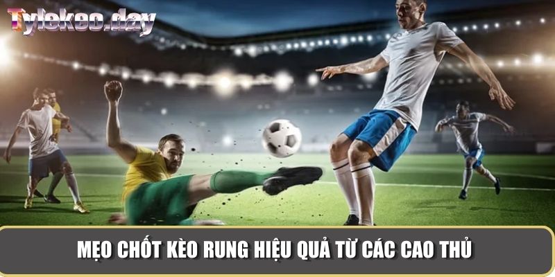 Mẹo chốt kèo rung hiệu quả từ các cao thủ