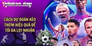 Cách Dự Đoán Kèo Thơm Hiệu Quả Để Tối Đa Lợi Nhuận