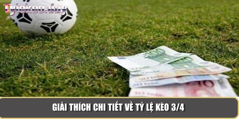 Giải thích chi tiết về tỷ lệ kèo 3/4