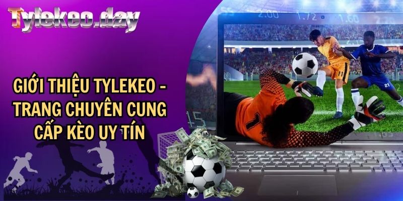 Giới thiệu Tylekeo là nền tảng uy tín