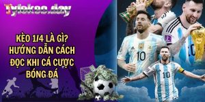 Kèo 1/4 Là Gì? Hướng Dẫn Cách Đọc Khi Cá Cược Bóng Đá