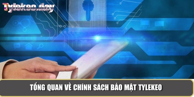 Tổng quan về chính sách bảo mật Tylekeo