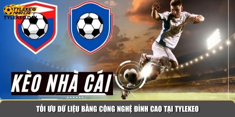 Tối ưu dữ liệu bằng công nghệ đỉnh cao tại Tylekeo