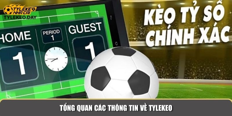 Tổng quan các thông tin về Tylekeo