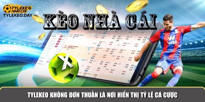 Tylekeo không đơn thuần là nơi hiển thị tỷ lệ cá cược